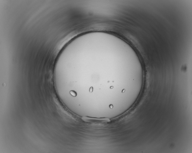 X0000111791465200908131401