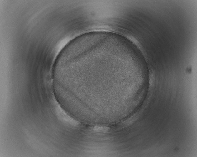 X0000111791466200908131401