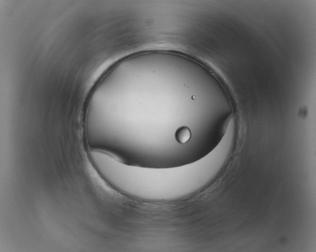 X0000111791468200908131401