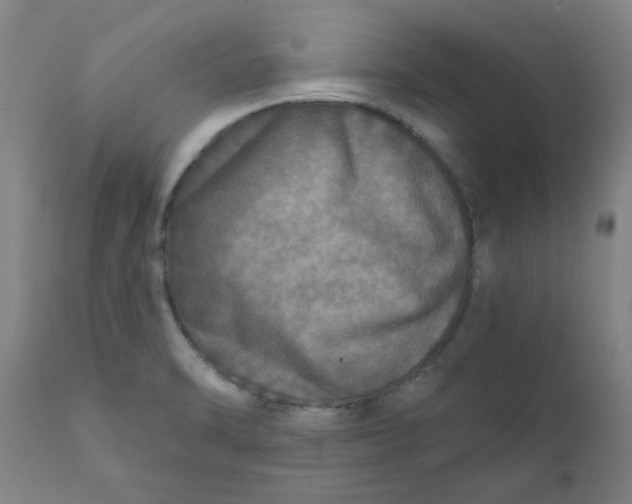 X0000111791470200908131401