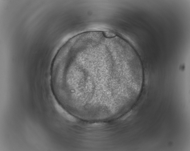 X0000111791471200908131401