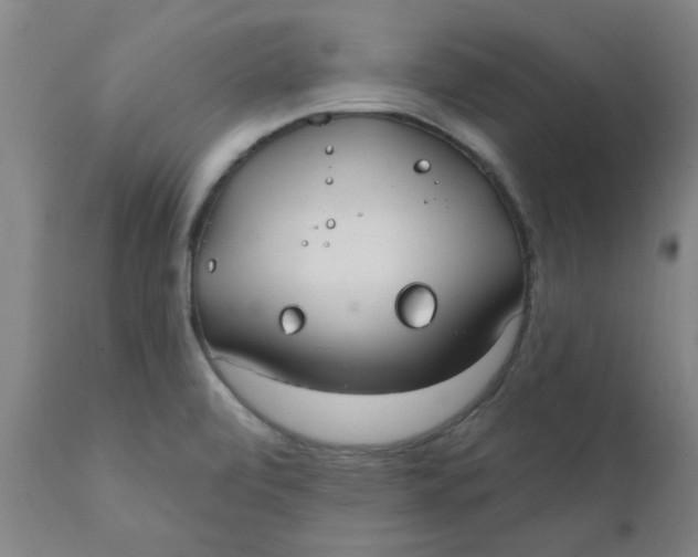 X0000111791472200908131401