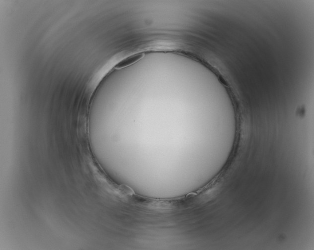 X0000111791473200908131400