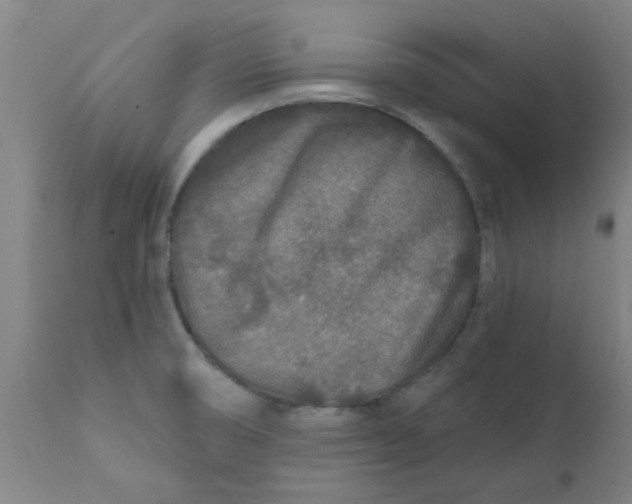 X0000111791474200908131400