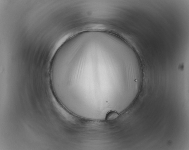 X0000111791475200908131400