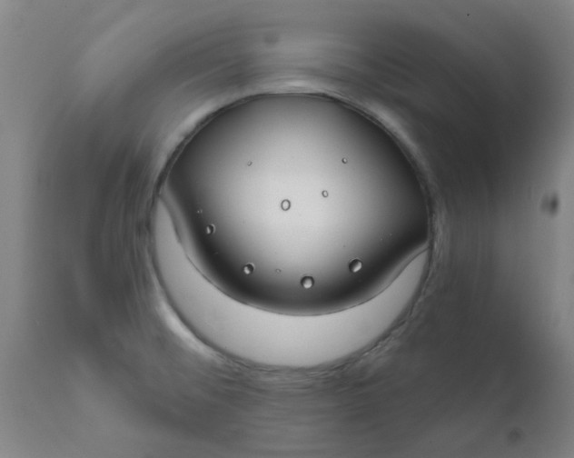 X0000111791476200908131400