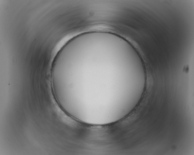 X0000111791478200908131400