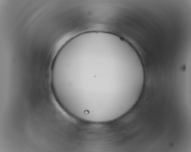 X0000111791479200908131400