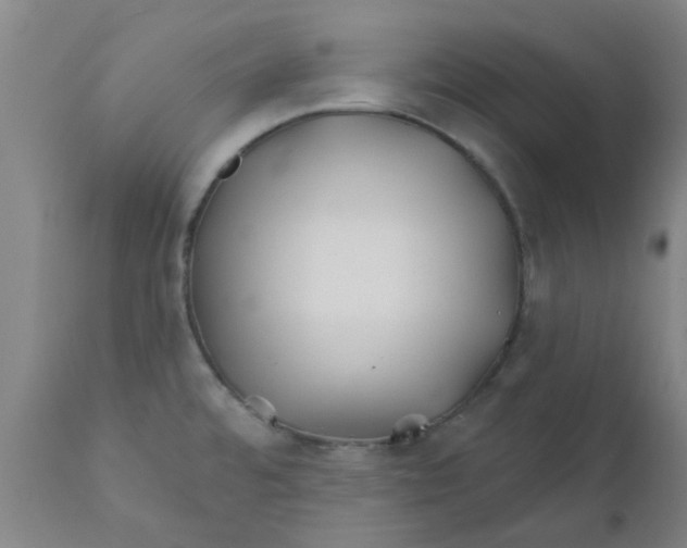 X0000111791480200908131400