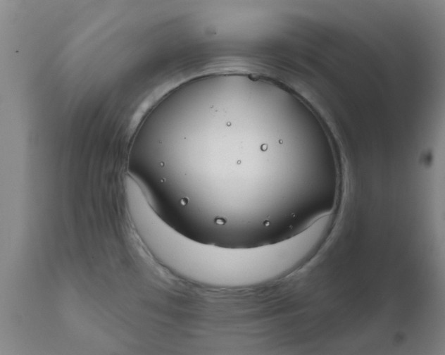 X0000111791481200908131400