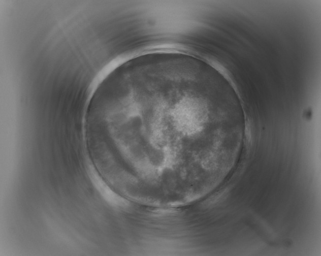 X0000111791482200908131400