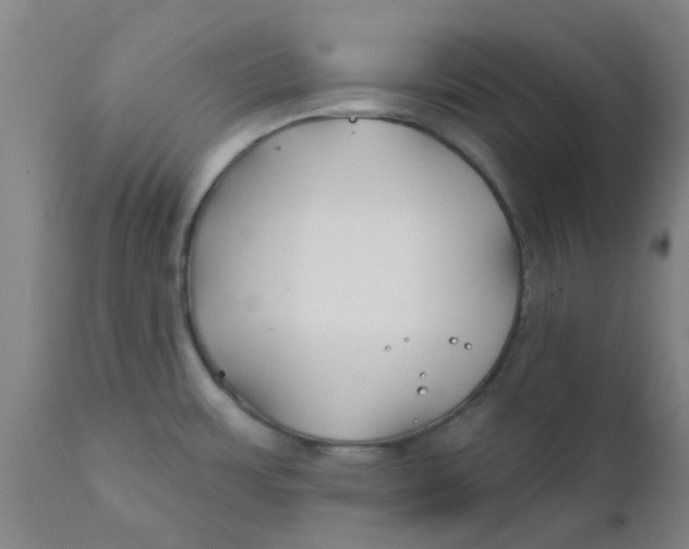 X0000111791483200908131400