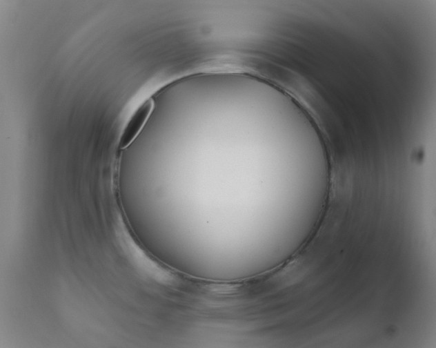 X0000111791484200908131400