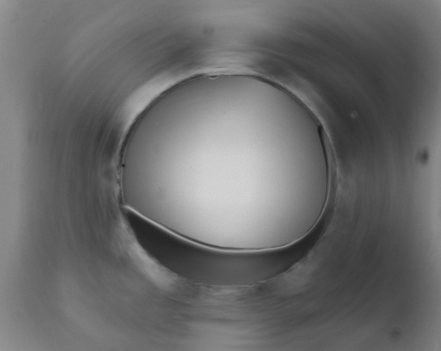 X0000111791485200908131400