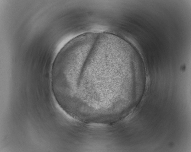 X0000111791487200908131400