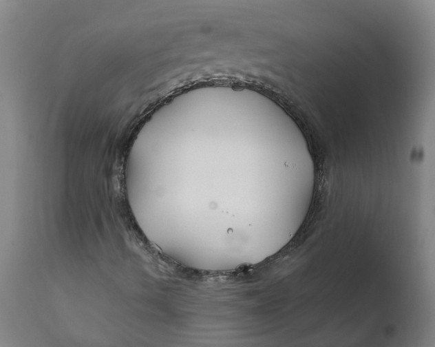 X0000111791490200908131400