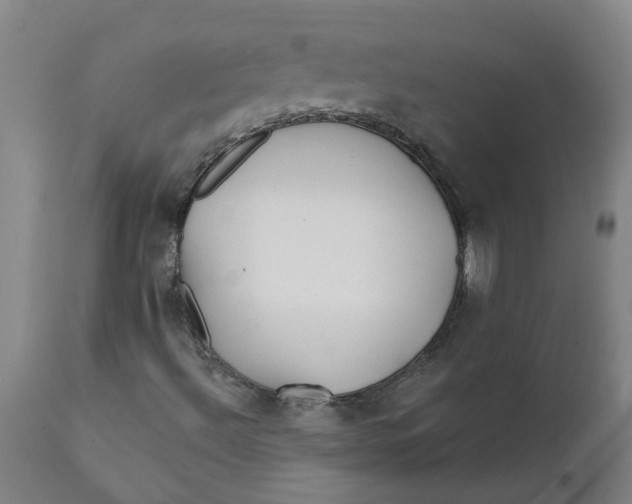 X0000111791492200908131400