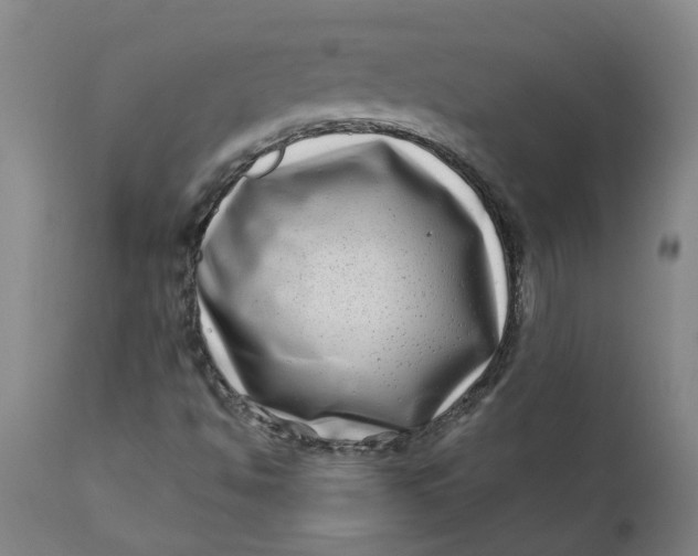 X0000111791494200908131400