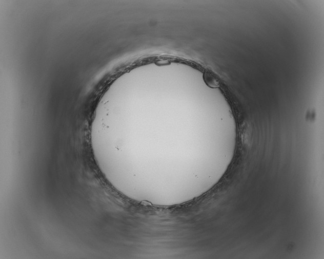 X0000111791495200908131400