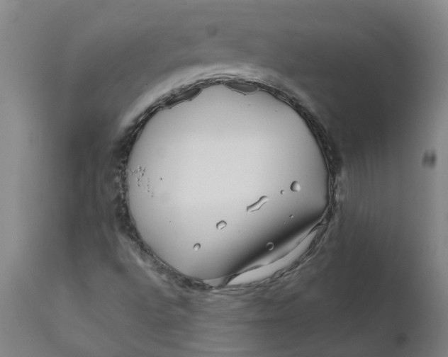 X0000111791496200908131400