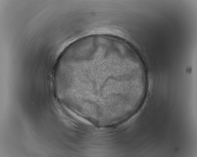 X0000111791497200908131400