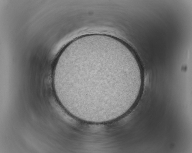 X0000111791498200908131400