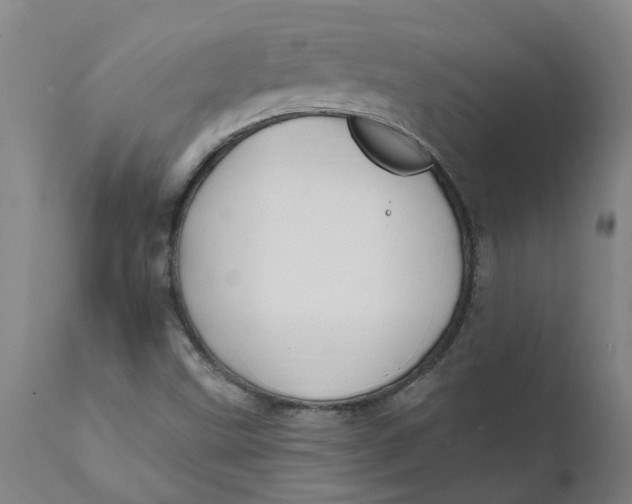 X0000111791499200908131400