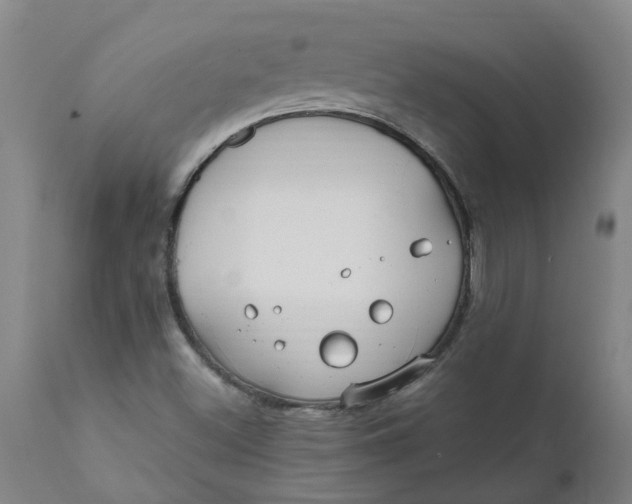 X0000111791500200908131400