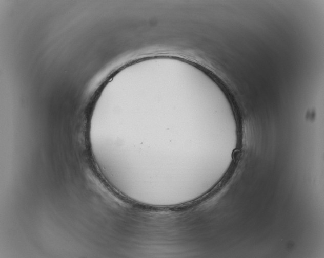 X0000111791502200908131400