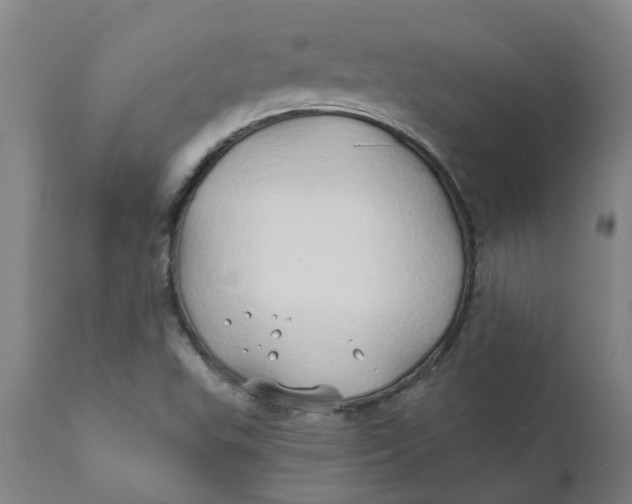 X0000111791503200908131400