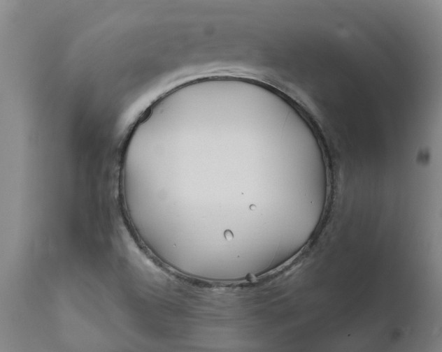 X0000111791504200908131400