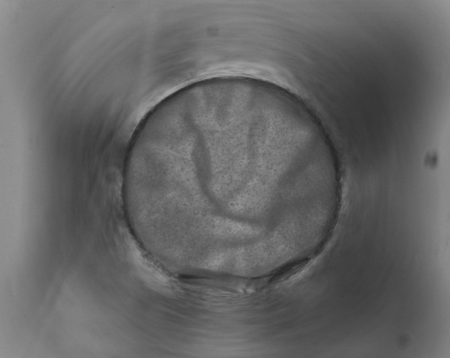 X0000111791505200908131400