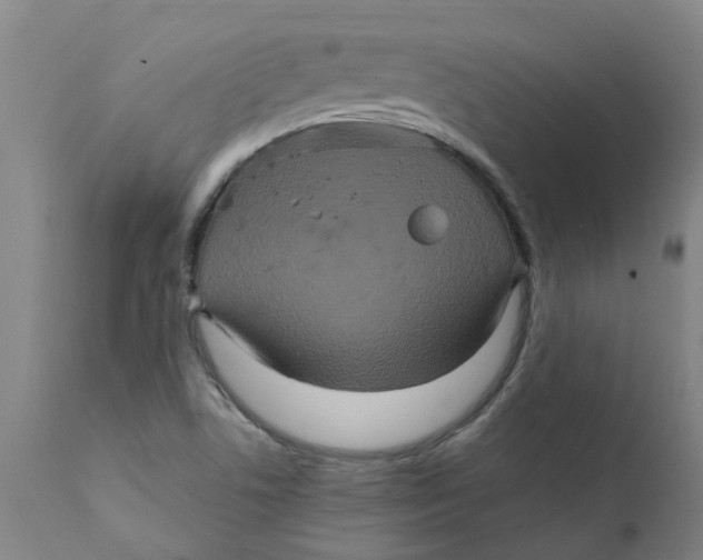 X0000111791506200908131400