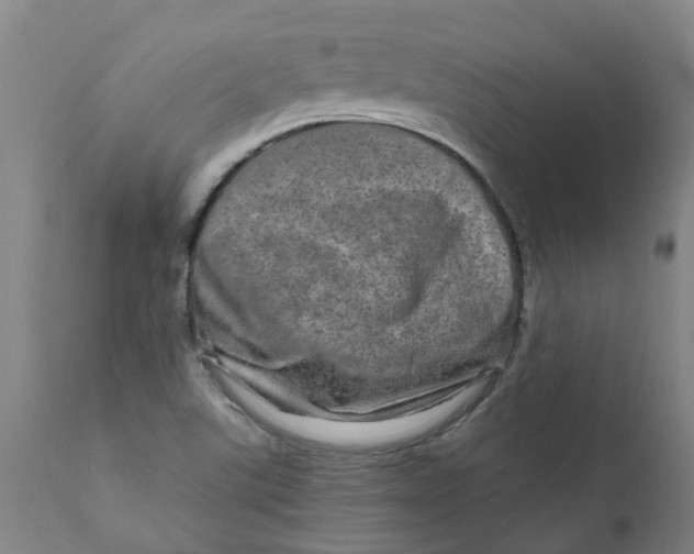 X0000111791507200908131400