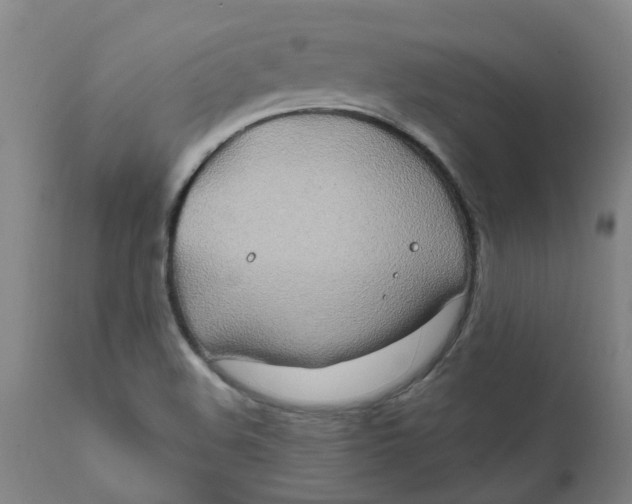 X0000111791508200908131400