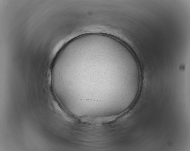 X0000111791509200908131400