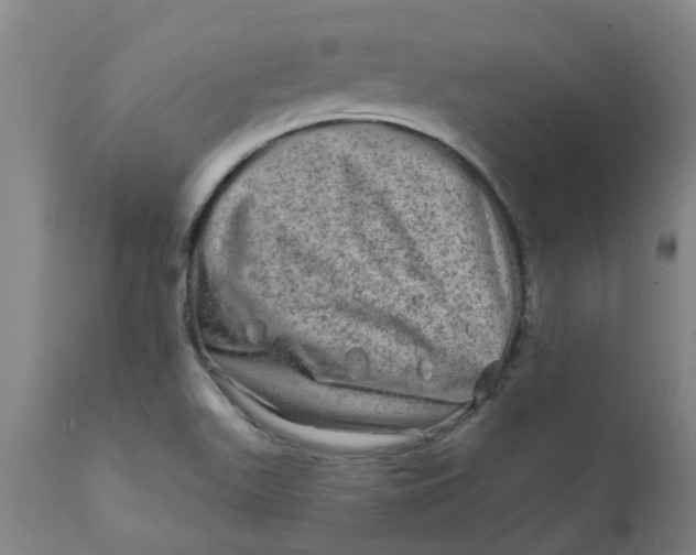 X0000111791511200908131400