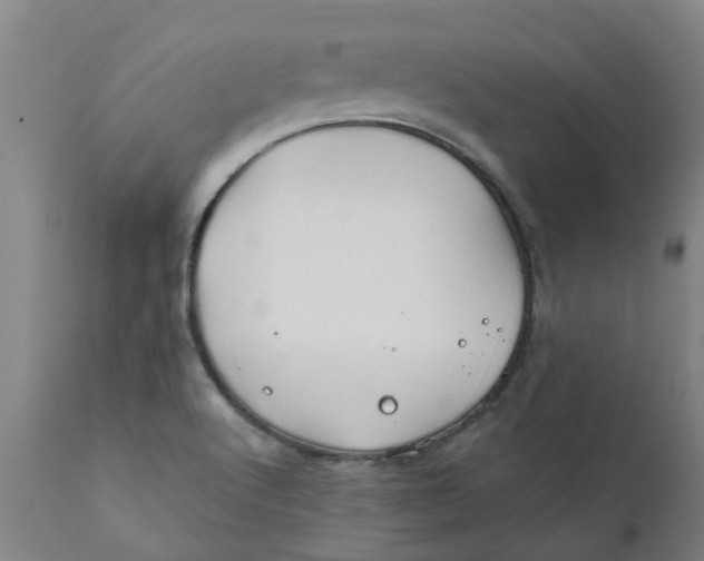 X0000111791512200908131400