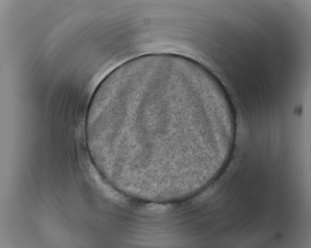 X0000111791513200908131400