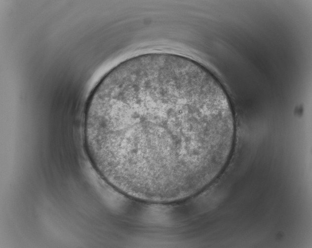 X0000111791514200908131400