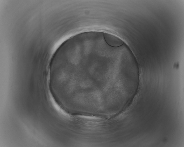 X0000111791515200908131400