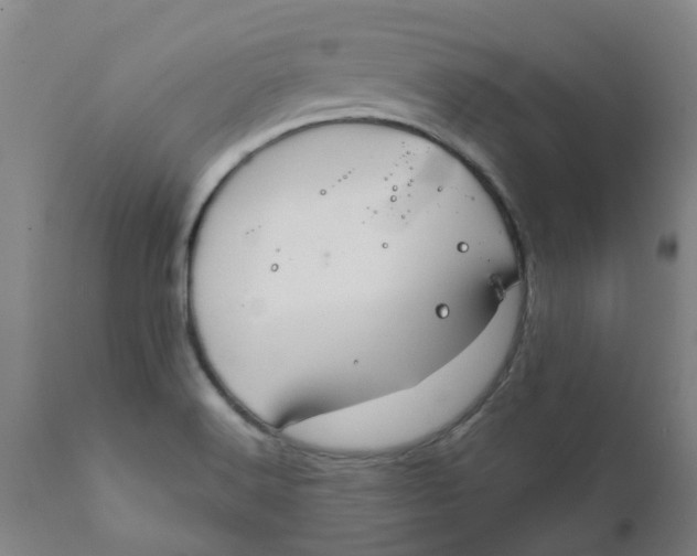 X0000111791516200908131400