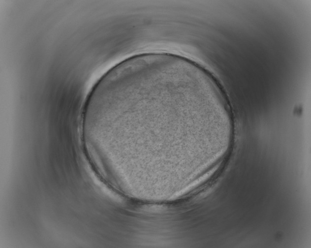 X0000111791517200908131400