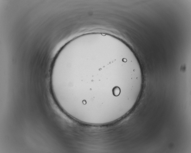 X0000111791518200908131400