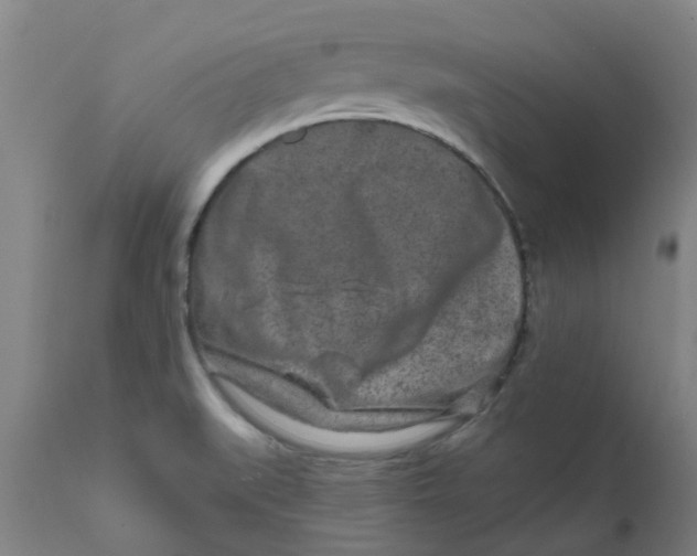 X0000111791519200908131400