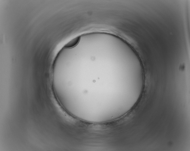 X0000111791520200908131400