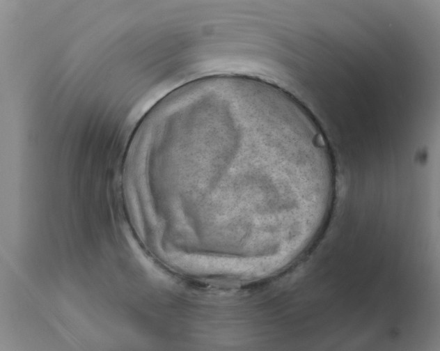 X0000111791521200908131400