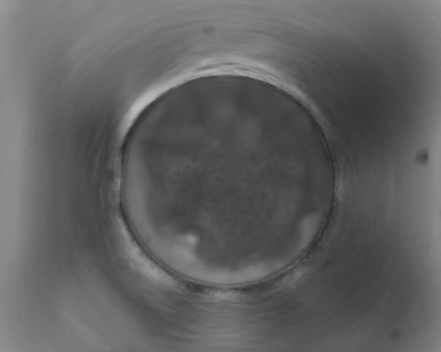 X0000111791522200908131400