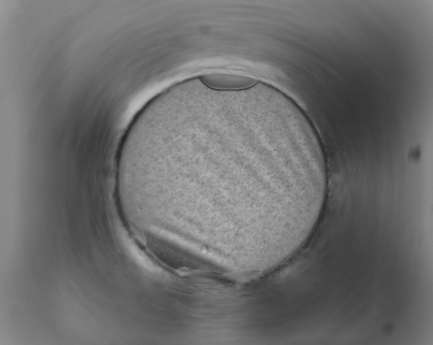 X0000111791523200908131400