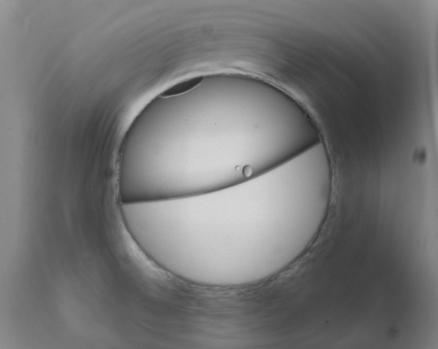 X0000111791524200908131400